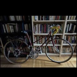 Raleigh Commuter Bike 