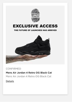 Black Cat 4’s 2025