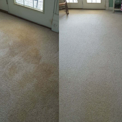Carpet cleaner