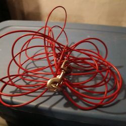 Leash For Dog