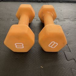 8lbs Dumbells 