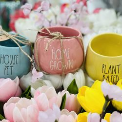 3 planters rae dunn