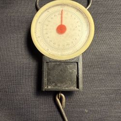 50lb Fishing Scale 