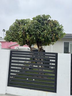 Jardinero