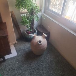  Vase Pottery Decor Plants