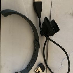 Fit Bit Flex Charger and Wrist Band