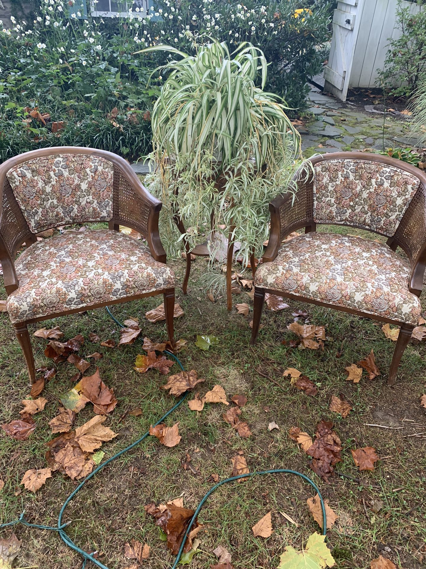 Matching Rattan Caned Chairs 