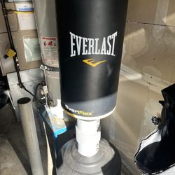 Everlast Boxing bag