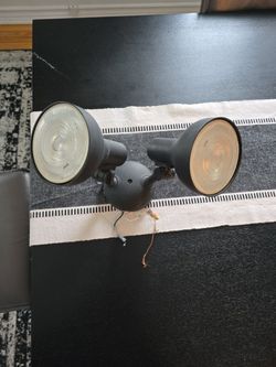 Hue Outdoor Spotlight
