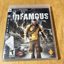 Infamous PlayStation 3, 2009 