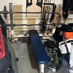 Bench Press, Incline Bench & Seated Bench