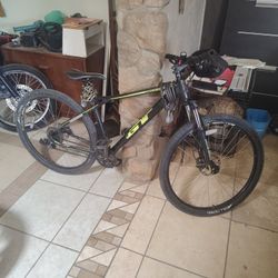 29 In. GT Bike