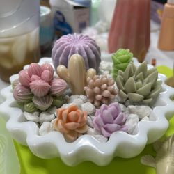 Succulent Resin 