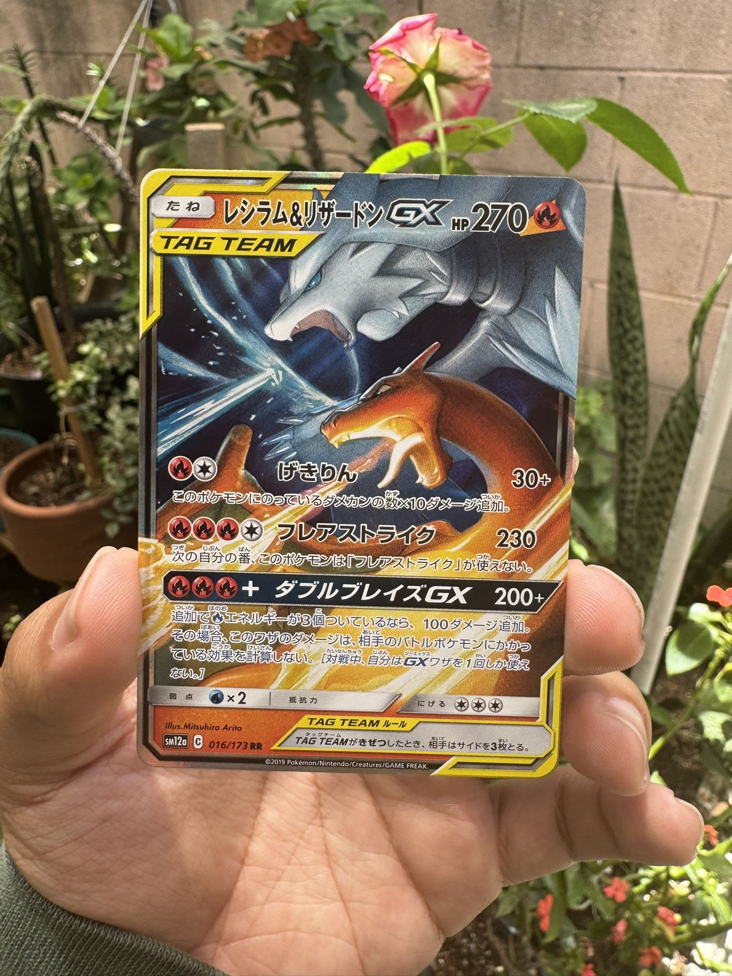 Pokemon Singles - Charizard & Reshiram GX (JP) Tag Team
