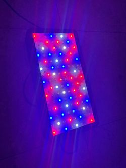 LED grow light