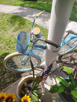 Beach cruiser