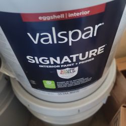Valspar Eggshell 5 Gallons 120