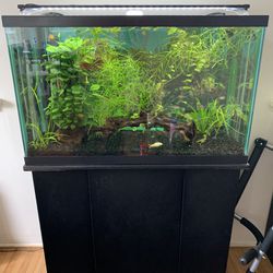Full 29 Gallon Aquarium Fish Tank Setup With Stand, Heater, Penn Plax Cascade Filter, Aquarium Co-op Air Pump Plus More