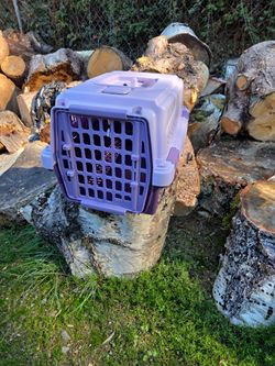 Small Carrier  / Crate