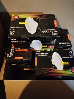 Cup Light Bulbs