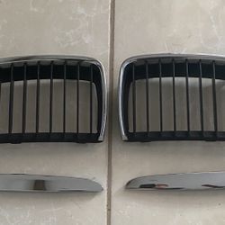 2006 BMW grill