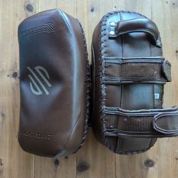 Sanabul Muay Thai Pads