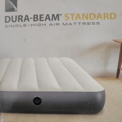 Air Mattress Twin