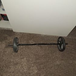 Two 25 Pound Plates With Bar