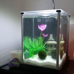 Fluval SPEC 2.6 Gal Fish tank