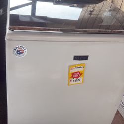  I it’s Labadora Tina Grande Con Garantía 