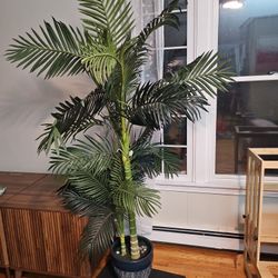 Artificial Palm Tree 6 Feet