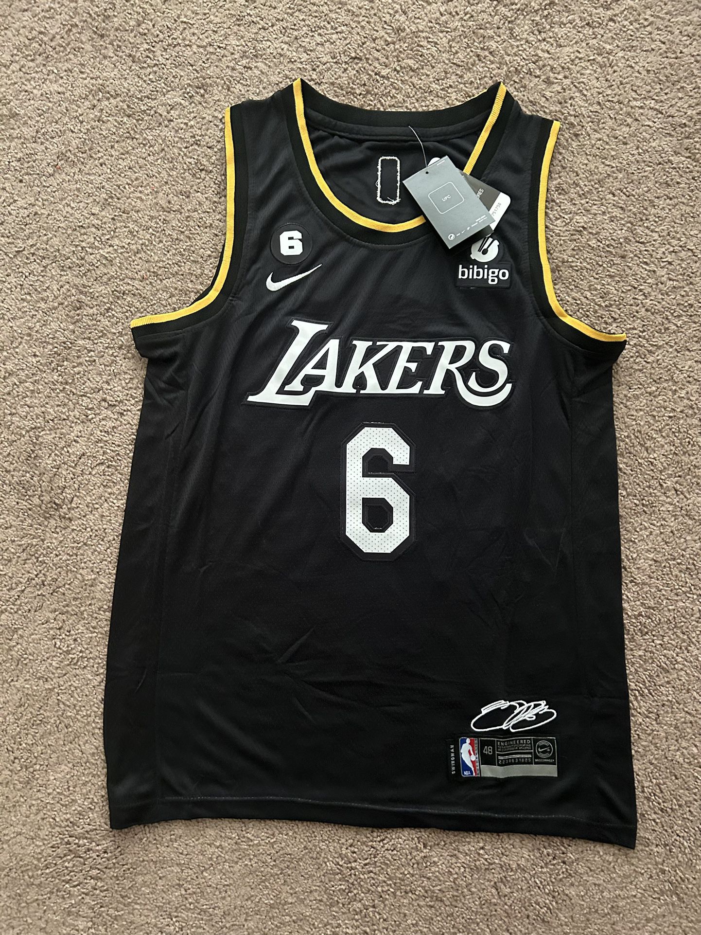 LeBron James Lakers Men's Nike Dri-FIT NBA Jersey Sz-48 for Sale in  Arlington, TX - OfferUp