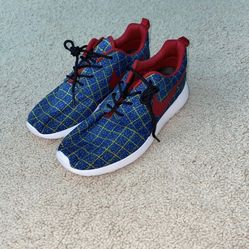 Nike Roshe Run Tinker Sample