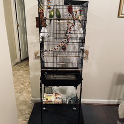 Two Parakeet Birds & cage 