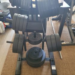 Massive Home Gym Setup – Weights, Bench, Rack - $350 OBO