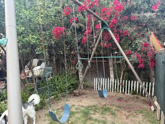 Swing Set - Lifeline Metal Swing Set