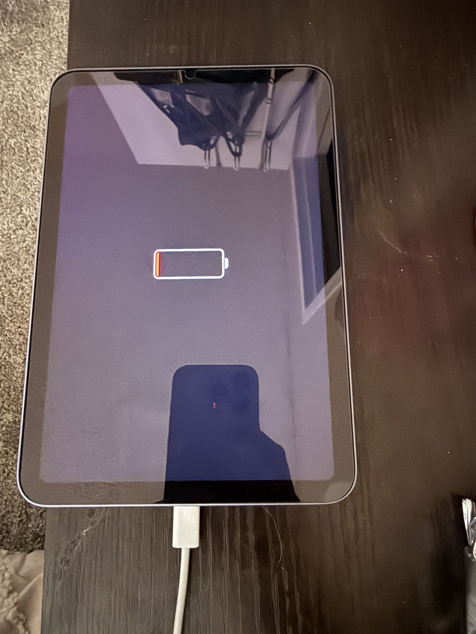 iPad Mini 6 Purple 