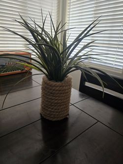 Decoration Plant "Plastic"