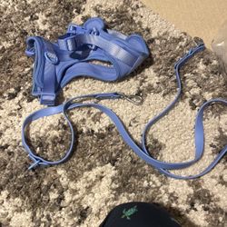 Wild One Leash And harness Medium