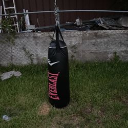 Everlast boxing bag