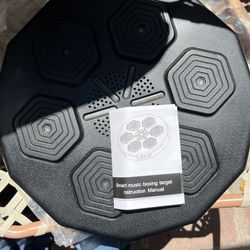 Boxing Work Out Toy 