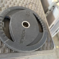two 45 pound plates from TKO