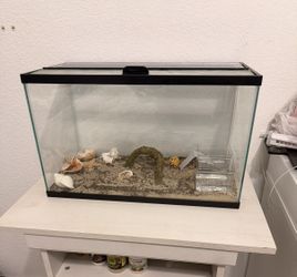 hermit crab tank