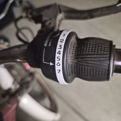 Womens 7 Speed Bike 
