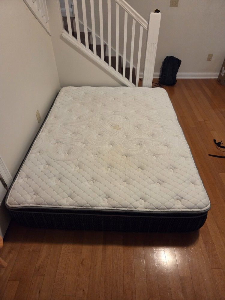 Queen Bed $100