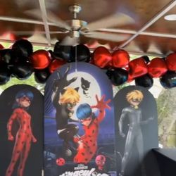 Miraculous Lady Bug And Cat Noir Backdrop 