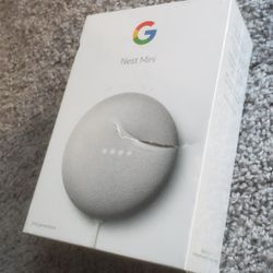 Google NEST Mini