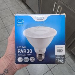 LED LIGHT BULB