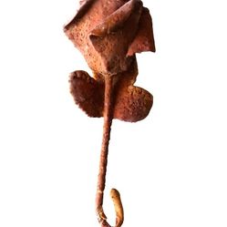 CZECH ROSE RUST ART!