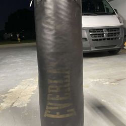 Everlast Punching Bag